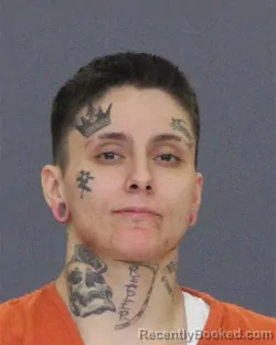 Mugshot of GWEN MICHELLE TIMM booked in St Clair County, Michigan on April 20, 2026