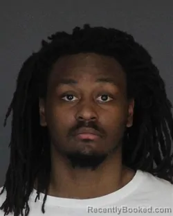 Mugshot of TYSHA VANICO FIELDS