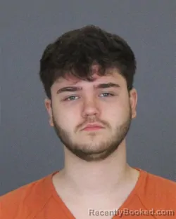 Mugshot of LOGAN TYLER BUFFINGTON