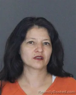 Mugshot of LORETTA SCHMELTER booked in St Clair County, Michigan on July 7, 2026