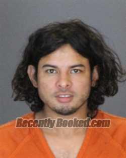 Booking photo from St Clair County, Michigan