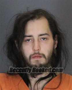 Booking photo from St Clair County, Michigan