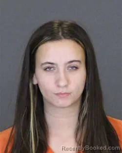 Booking photo from St Clair County, Michigan