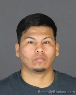 Booking photo from St Clair County, Michigan