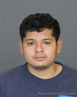 Mugshot of URIEL MARIANO-ATZIN