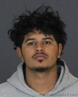 Booking photo from St Clair County, Michigan