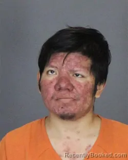 Booking photo from St Clair County, Michigan