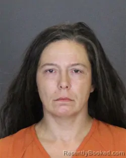 Booking photo from St Clair County, Michigan