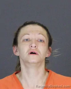 Booking photo from St Clair County, Michigan