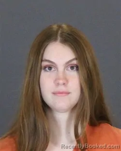 Booking photo from St Clair County, Michigan