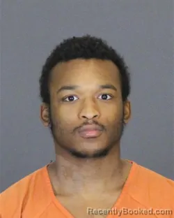 Mugshot of DAHNONTAE RENARR MCKINLEY