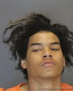 Mugshot of SETH AARON WILLIAM MELDRUM