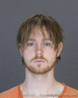 Mugshot of LEVI DANE FORD