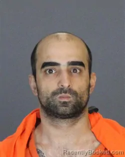 Booking photo from St Clair County, Michigan