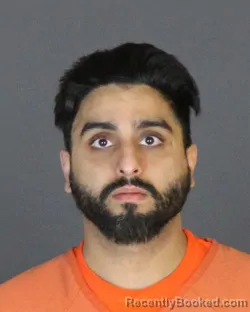 Mugshot of RAHULPREET SINGH SAHI