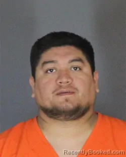 Mugshot of EDILSAR MERID-MUNOZ