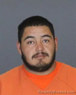 Mugshot of ELMER DAVID REYES-CONTRERAS