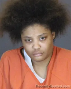 Mugshot of KIERRA SHANELL PERRY