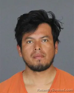 Mugshot of CARLOS THOMAS GONZALEZ-CHAVAJAY