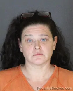 Mugshot of ERICA ALMEDA SCHEMANSKY booked in St Clair County, Michigan on April 4, 2026