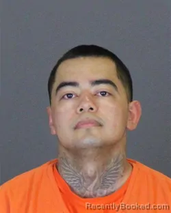 Mugshot of JOEY RAY MEDRANO booked in St Clair County, Michigan on April 21, 2026