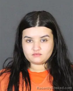 Mugshot of MADISON LACEY CASTILLO booked in St Clair County, Michigan on April 25, 2026