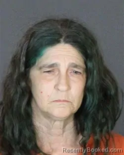 Mugshot of LORA LEE PREVO booked in St Clair County, Michigan on April 29, 2026