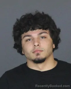 Mugshot of GABRIEL JAMES AYALA booked in St Clair County, Michigan on May 10, 2026