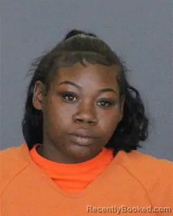 Mugshot of DESTINEY MONET JOHNSON booked in St Clair County, Michigan on May 11, 2026