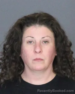 Mugshot of IRINA LYSYUK booked in St Clair County, Michigan on May 15, 2026