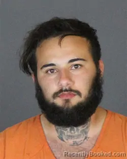 Mugshot of ALEX MICHAEL SANCHEZ booked in St Clair County, Michigan on June 14, 2026
