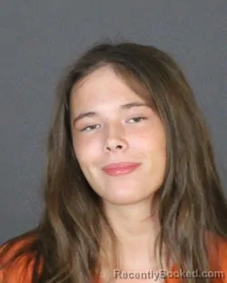 Mugshot of ALYSSA NICHOLE THICK booked in St Clair County, Michigan on June 20, 2026