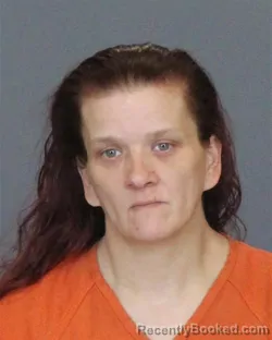 Mugshot of LEEANN MARIE BEITEL booked in St Clair County, Michigan on June 29, 2026