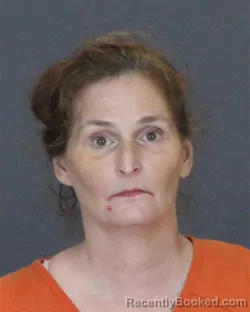 Mugshot of LISA MARIE LULIS booked in St Clair County, Michigan on July 6, 2026