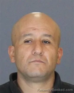 Mugshot of Camilo Andres Pelaez-Pelaez booked in St Clair County, Michigan on August 1, 2026