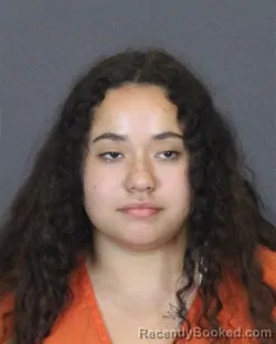 Mugshot of Sydney Analise Caldwell booked in St Clair County, Michigan on August 11, 2026