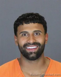 Mugshot of Sukhjinder Singh Mann booked in St Clair County, Michigan on August 11, 2026