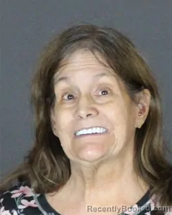Mugshot of Geri Kaye Finley booked in St Clair County, Michigan on September 17, 2026