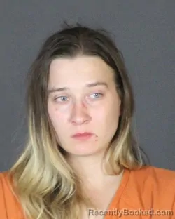 Mugshot of Lindsey Dobson booked in St Clair County, Michigan on September 21, 2026
