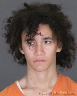 Mugshot of Jessica Ray Carpenter booked in St Clair County, Michigan on October 7, 2026