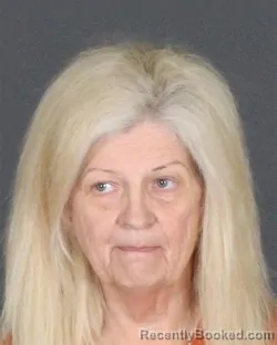 Mugshot of Kimberley Sue Dillon booked in St Clair County, Michigan on October 11, 2026