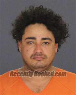 Booking photo from St Clair County, Michigan