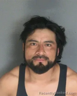 Mugshot of Manuel D Gomez-Gonzalez booked in Van Buren County, Michigan on July 31, 2026