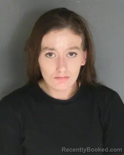 Mugshot of Danielle N Reynolds booked in Van Buren County, Michigan on August 3, 2026