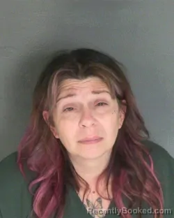 Mugshot of Brandi M Espinosa booked in Van Buren County, Michigan on August 19, 2026