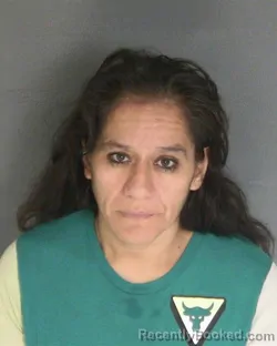 Mugshot of Sanjuanita Hernandez booked in Van Buren County, Michigan on September 8, 2026