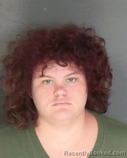 Mugshot of Natasha E Lopez booked in Van Buren County, Michigan on October 6, 2026