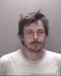 Mugshot of DAVID LEE HALL