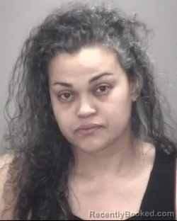 Mugshot of SLYVIA ALITA CUMMINGS