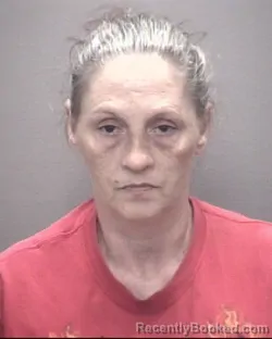 Mugshot of SUSAN MARGARET LOWERY booked in Robeson County, North Carolina on April 20, 2026